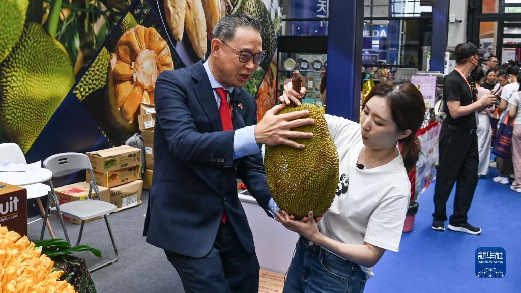 太阳城游戏城
